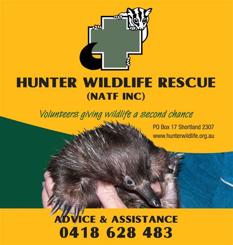 Wildlife Rescue Center hosting fundraiser tonight
